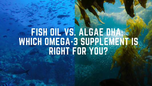 Fish Oil vs. Algae DHA: Which Omega-3 Supplement Is Right for You?