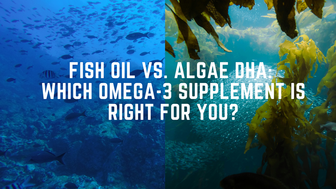 Fish Oil vs. Algae DHA: Which Omega-3 Supplement Is Right for You?