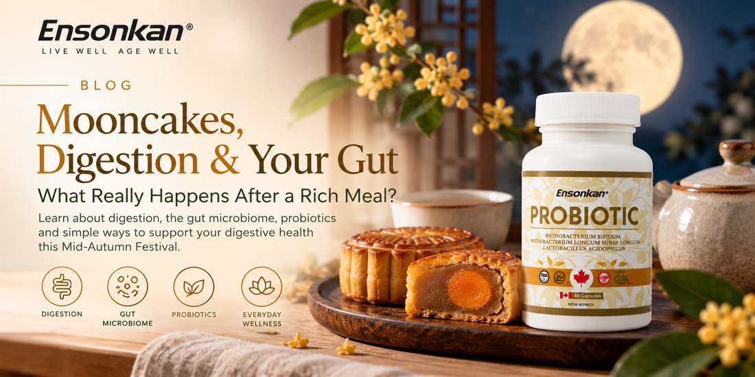 Mooncakes, Digestion & Your Gut: What Really Happens After a Rich Meal?